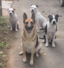 Avatar for Precision Workscraft