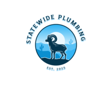 Avatar for Statewide Plumbing