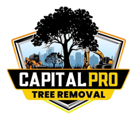 removal companies Buckhurst Hill
