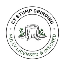 Avatar for CT Stump Grinding