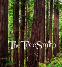 Avatar for The Tree Smith, LLC