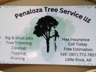 PENALOZA TREE SERVICE LLC logo