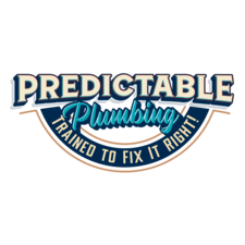 Avatar for Predictable Plumbing LLC