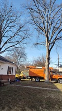 Avatar for Humberto Tree Service
