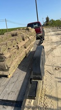 Avatar for Luigi’s Landscaping