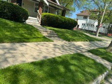 Avatar for Calhoun Landscaping
