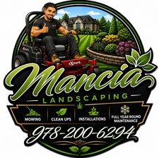 Avatar for Mancias landscape
