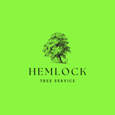Avatar for Hemlock Tree Service