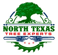 Avatar for NORTH TEXAS TREE EXPERTS