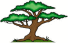 Avatar for D.R. Barlow & Sons Tree & Landscape Service, Inc.