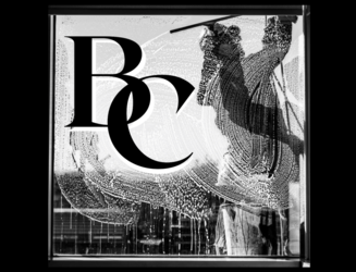 Bright Cleaning LLC logo