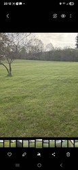 D&G Lawn Care / Godby Landscaping logo