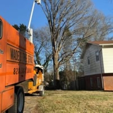 Avatar for Wade's Tree Service LLC