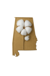 Coastal Cotton Outdoor Services logo