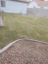 Avatar for Landscaping Díaz