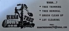 Avatar for Wana Tree Down