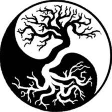 Avatar for Inner Roots, LLC