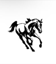 Avatar for Stallion Coatings, LLC