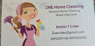 ZNE Home Cleaning logo