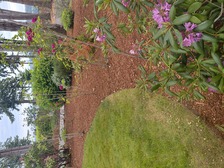 Avatar for C PABLO LANDSCAPING LLC