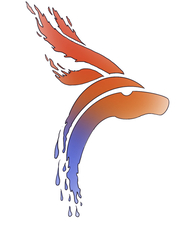 Avatar for Rain to Drought Water Restoration & Mitigation