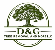 Avatar for D&G TREE REMOVAL AND MORE
