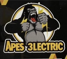 Avatar for APES 3LECTRIC LLC