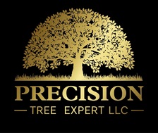 Avatar for Precision Tree Expert