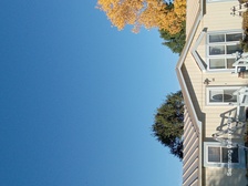 Avatar for Hoak Exterior