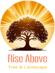 Rise Above Tree And Landscape  LLC logo