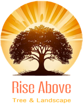 Avatar for Rise Above Tree And Landscape  LLC