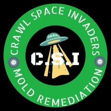 Avatar for Crawl Space Invaders
