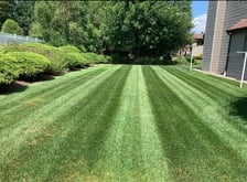 Avatar for Prestige Landscaping & Remodeling LLC