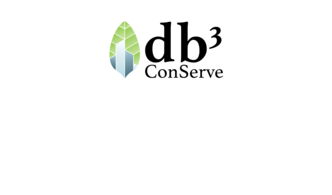 DB3 CONSULTING SERVICES LLC logo