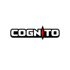 Avatar for cognito media service