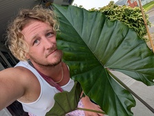 Avatar for VigoLand Design Co.