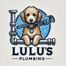 Avatar for LULU'S PLUMBING