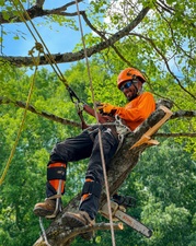 Terra Tree Experts LLC logo