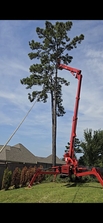 Avatar for Keith's Tree Service
