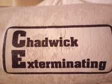 Avatar for Chadwick Exterminating