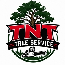Avatar for TNT Tree Service