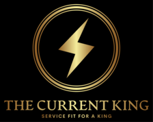 Avatar for The Current King LLC