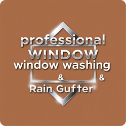 Professional Window Washing & Rain Gutter Cleaning logo