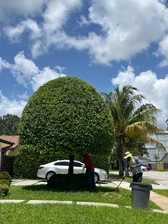Avatar for ALL AROUND GROUNDSKEEPERS INC