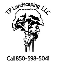 Avatar for TP LANDSCAPING LLC