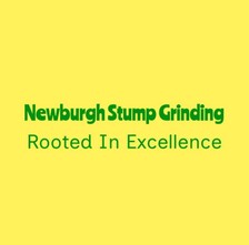 Avatar for Newburgh Stump Grinding LLC
