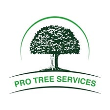 Logo for Pro Tree Services, LLC