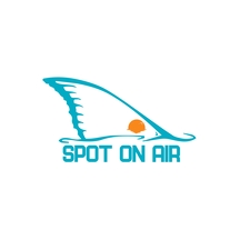 Avatar for Spot On Air llc