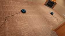 Avatar for T.G's Carpet Cleaning LLC