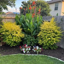 Avatar for FreshStart Landscaping